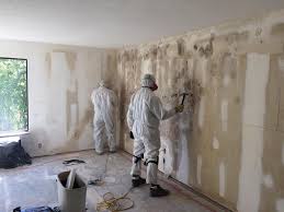 Best Industrial Mold Remediation  in Frazier Park, CA